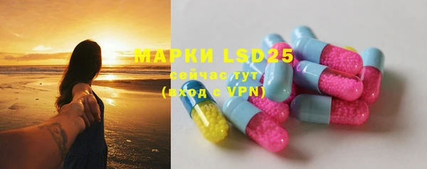 apvp Пестово
